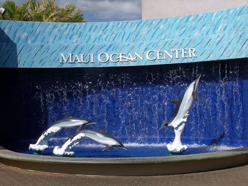 Maui Ocean Center Aquarium - Aquasign4339f