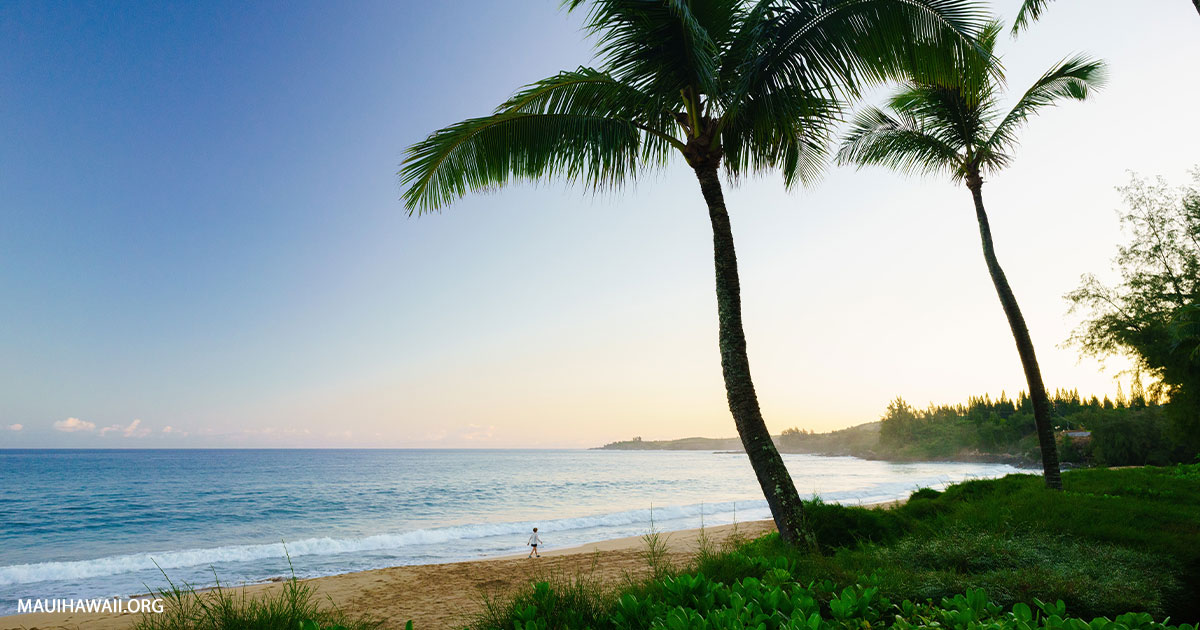 Fleming Beach Park - Public Beach In Kapalua, Maui