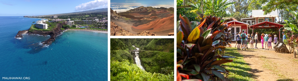 best Maui tours