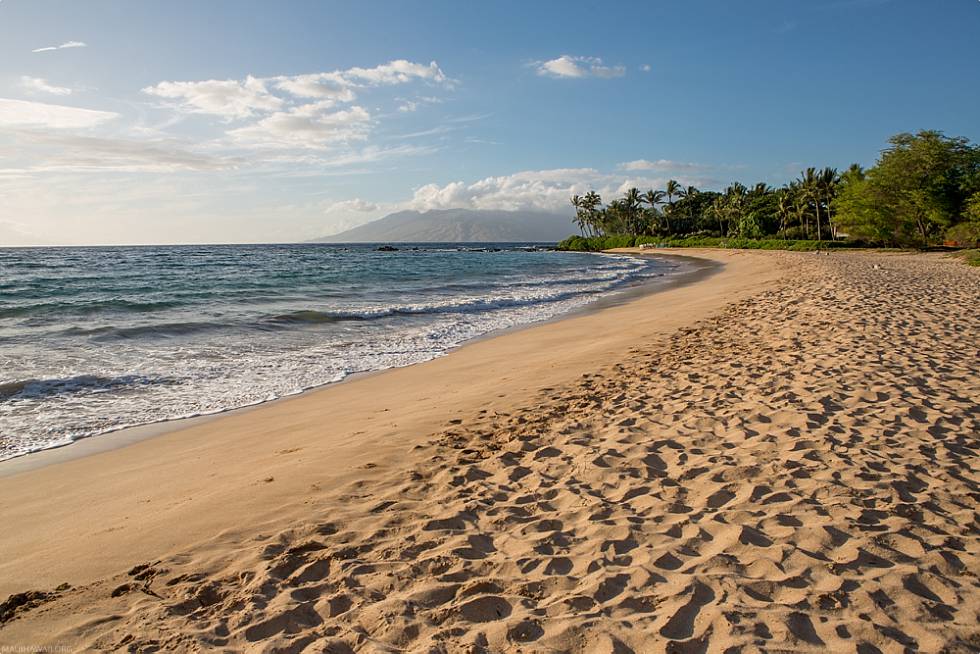 San Diego To Maui Beach