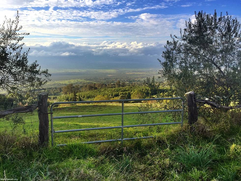 Chicago To Maui Mountainside Gate